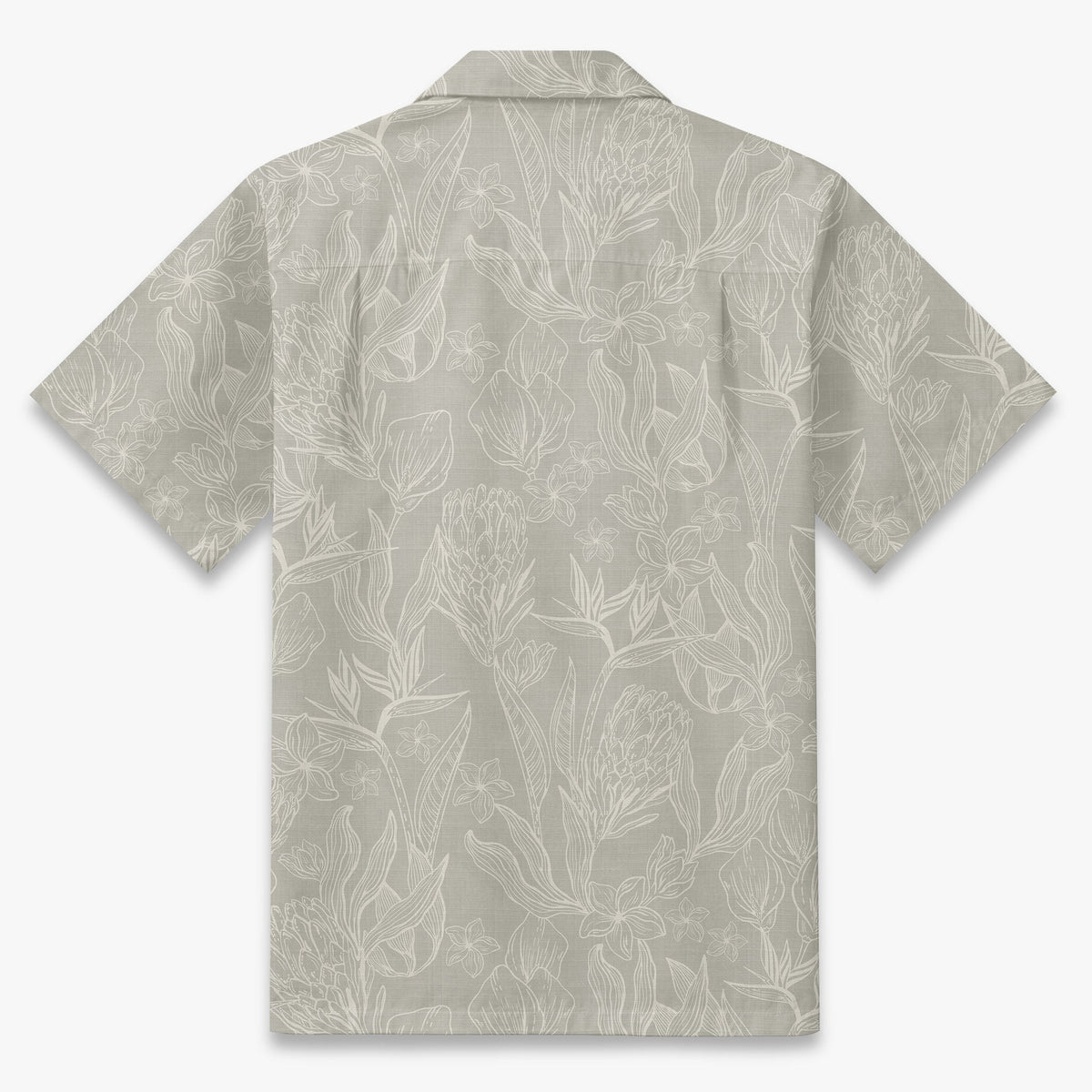 Coastal Protea Sketch