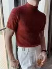 Burgundy Ribbed Mock Neck Short Sleeve Knit Top