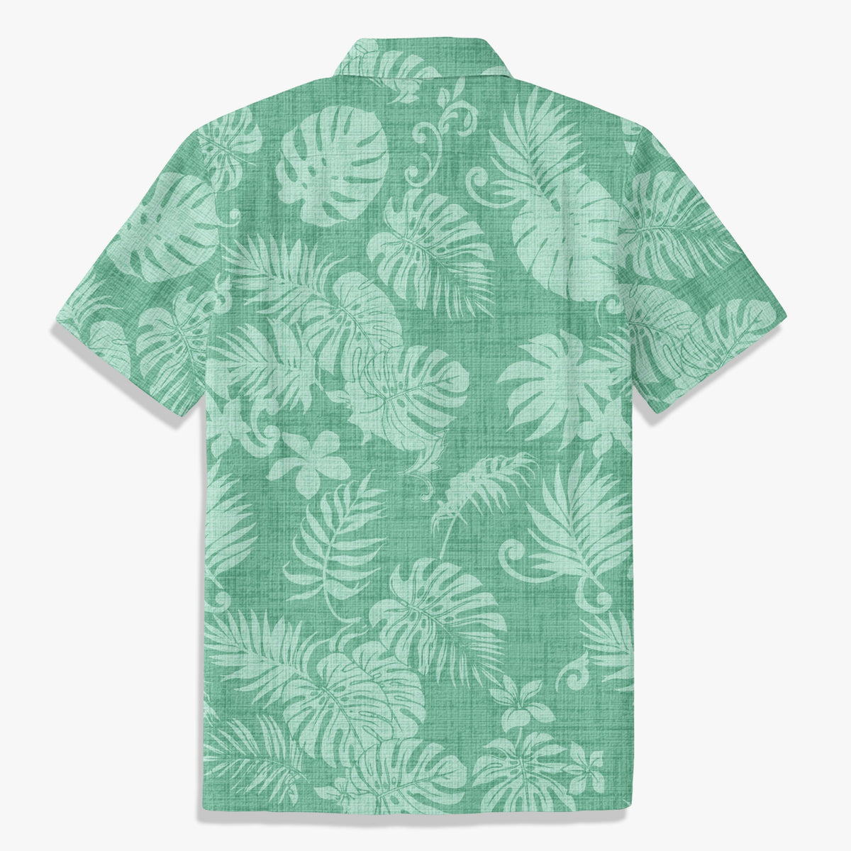 Monstera Mirage